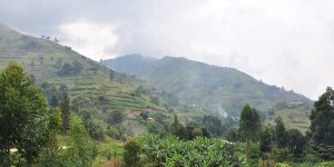 6 Days Wildlife Safari and Rwenzori Hiking